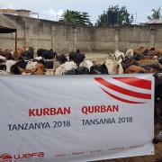 Kurban Kampagne 2018