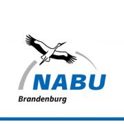NABU Naturschutzbund Deutschland Landesverband Brandenburg e.V.