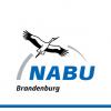 NABU Naturschutzbund Deutschland Landesverband Brandenburg e.V. NABU Naturschutzbund Deutschland Landesverband Brandenburg e.V.