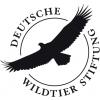 Deutsche Wildtier Stiftung Deutsche Wildtier Stiftung